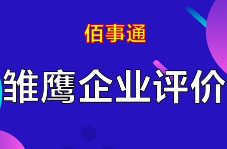 电子艺游平台大全官方网站入口说明