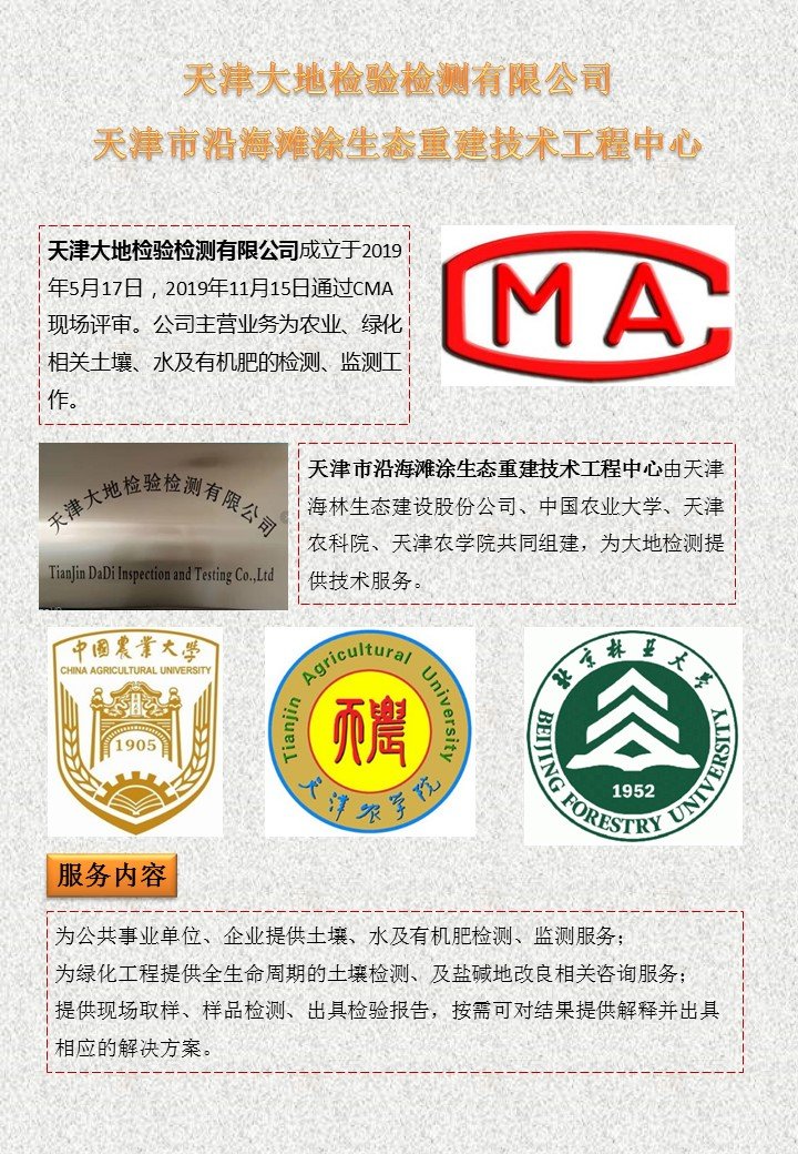 电子艺游平台大全